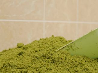 Buy Natural Red Maeng Da Kratom for a Premium Experience