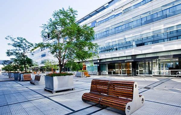 The Real Story Behind Westgate’s Mixed Online Reviews